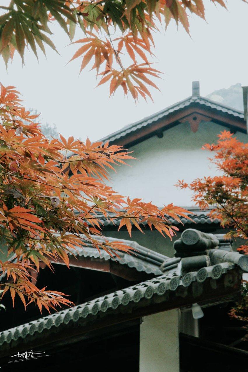 悟空滑翔